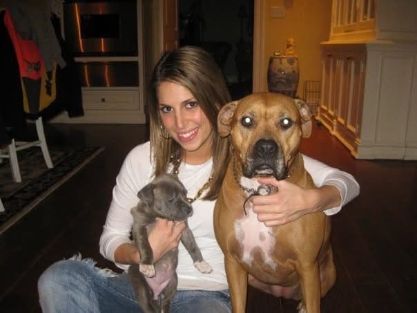 Same Trainer. Same Session. Two Very Different Dogs.